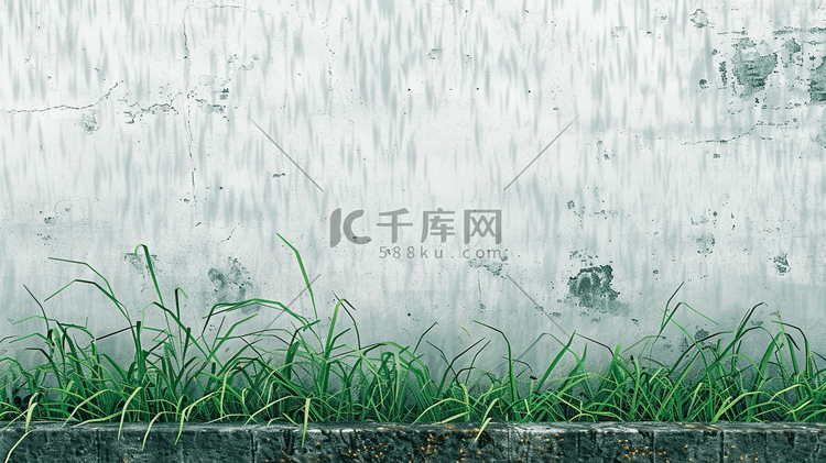 雨季下雨中式景区围墙外花草的插画9