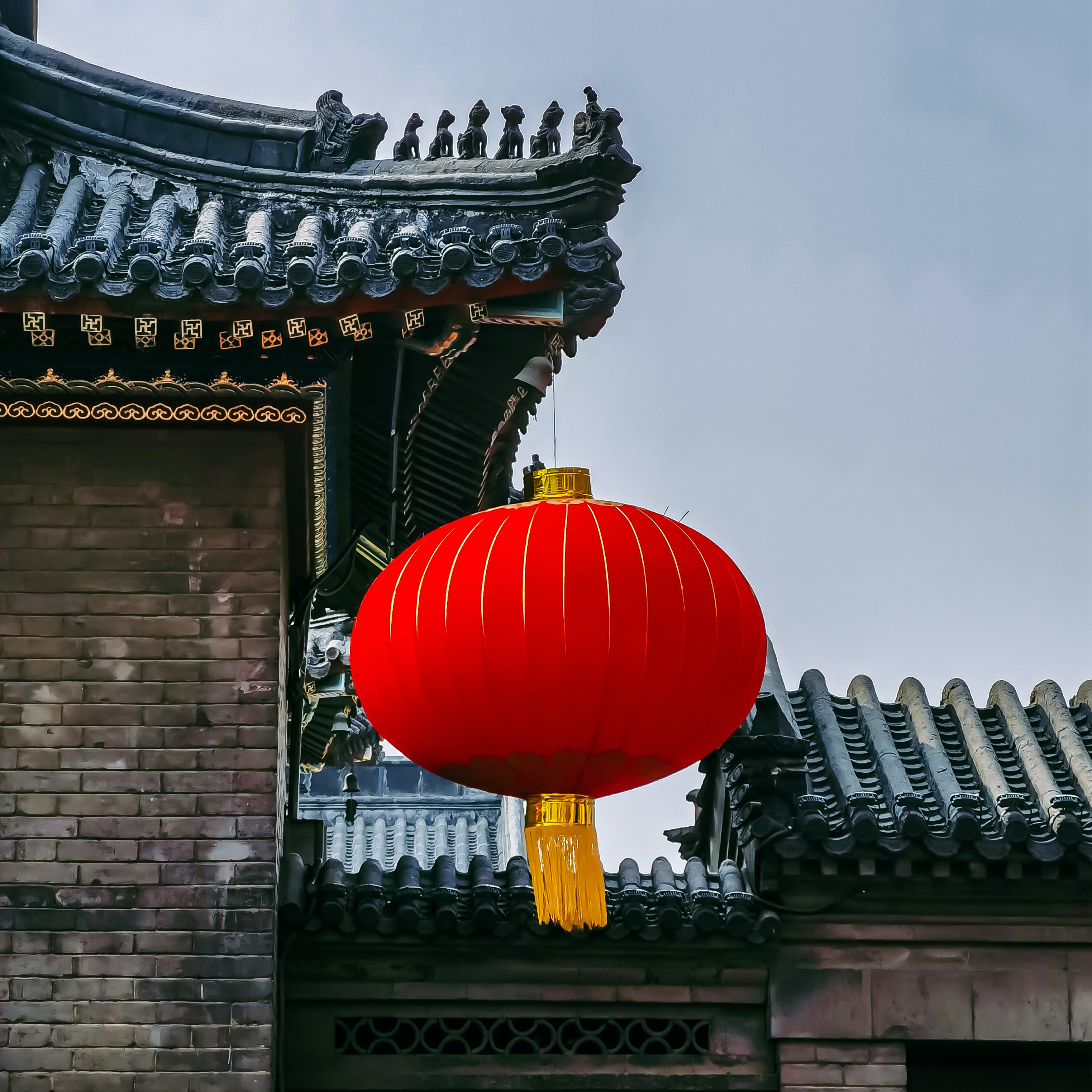 春节轻快草长莺飞欣欣向荣的喜庆氛围
