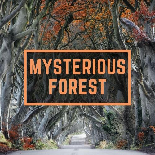 电影配乐音频素材Mysteriousforest-神秘恐怖森林电影配乐