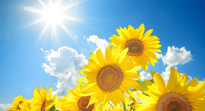 缤纷夏日