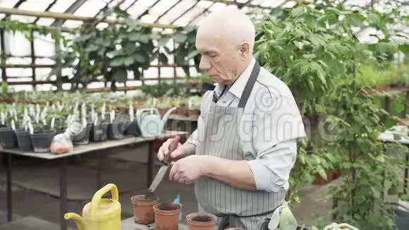 年长的男园丁在温室的花盆里种新植物 千库网 年长的男园丁在温室的花盆里种新植物 千库网