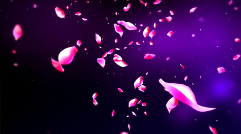 花瓣飘落唯美背景素材