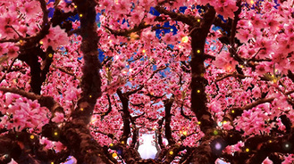 凉凉舞台背景视频素材