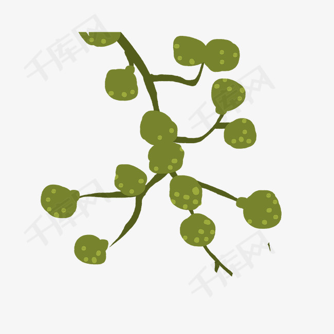 手绘烹饪调料藤椒