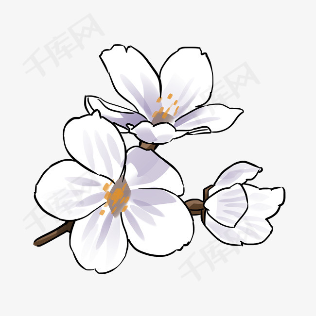 植物樱花花开花瓣插画手绘鲜花植物樱花花开花瓣插画