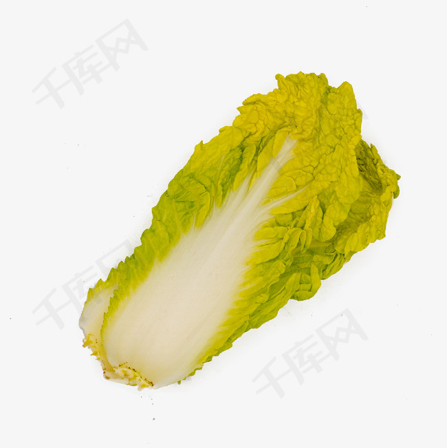 白菜叶菜叶娃娃菜叶实物拍摄