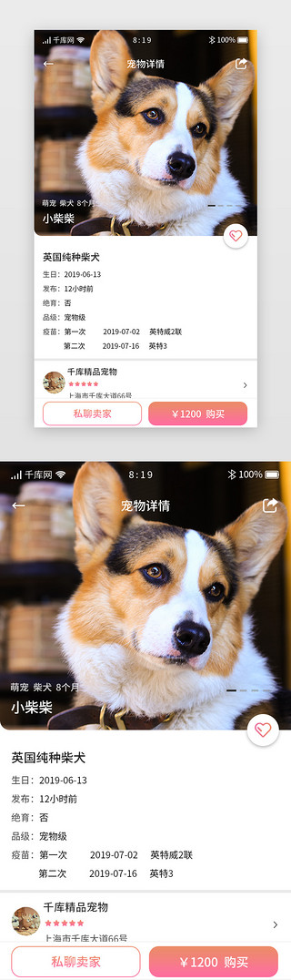 宠物寄养UI设计素材_卡片宠物APP宠物详情