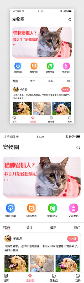 宠物寄养UI设计素材_卡片宠物APP主界面宠物圈