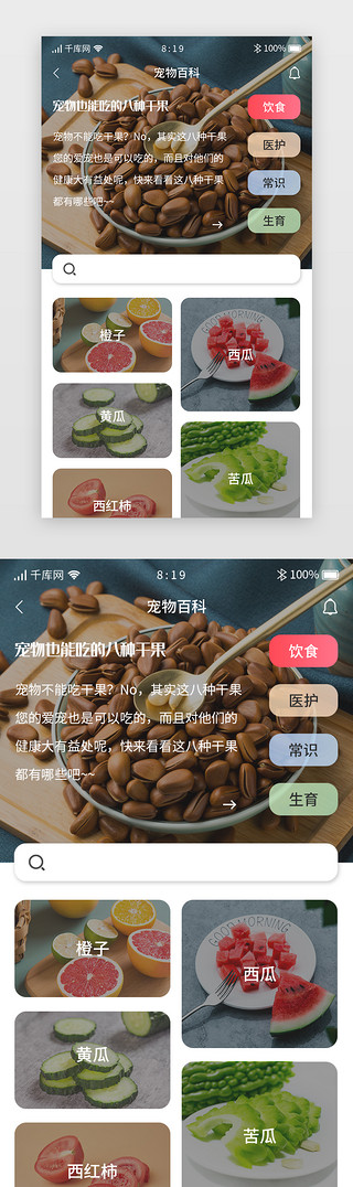 搞笑宠物狗UI设计素材_宠物综合APP宠物百科详情