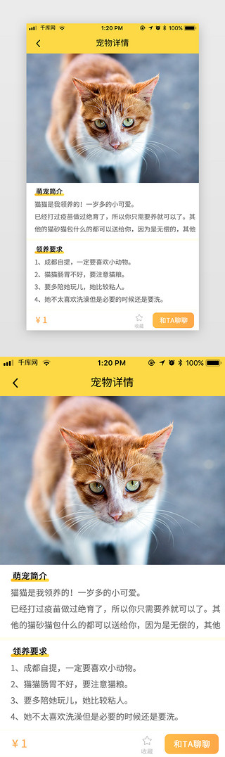 宠物电商UI设计素材_黄色元气萌宠电商app宠物领养