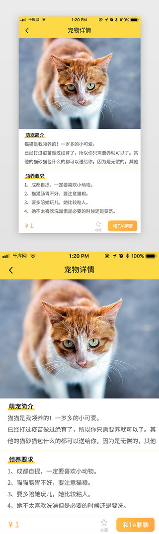 波元气满满UI设计素材_黄色元气萌宠电商app宠物领养