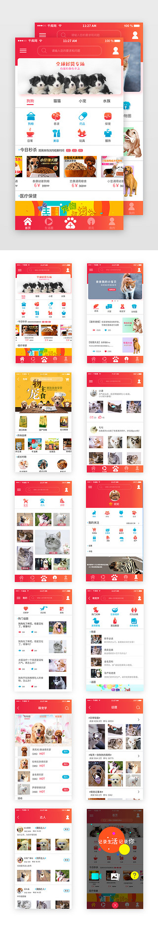 简约宠物UI设计素材_红色简约宠物交友APP