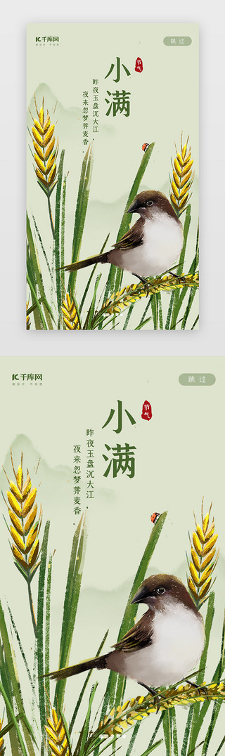 花鸟工笔画UI设计素材_中国风二十四节气之小满闪屏启动页引导页闪屏