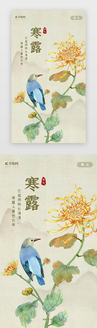 水彩花鸟UI设计素材_中国风二十四节气之寒露闪屏启动页引导页闪屏