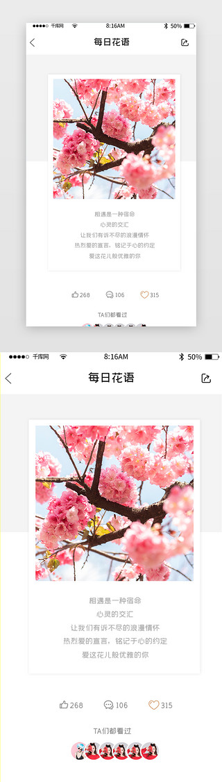 粉色花花背景UI设计素材_简约鲜花花语详情页