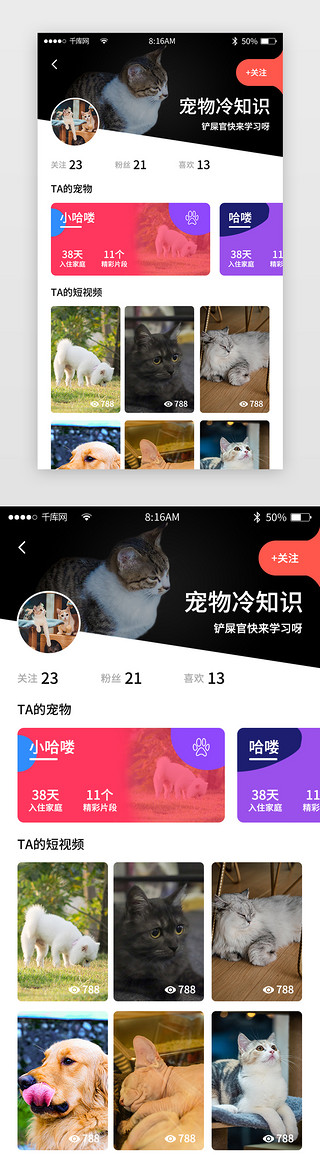 动态晚安图标UI设计素材_粉色简约宠物商城app详情页