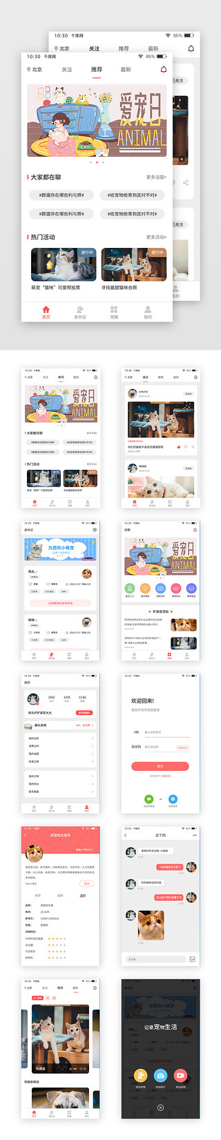 简约宠物通用app套图