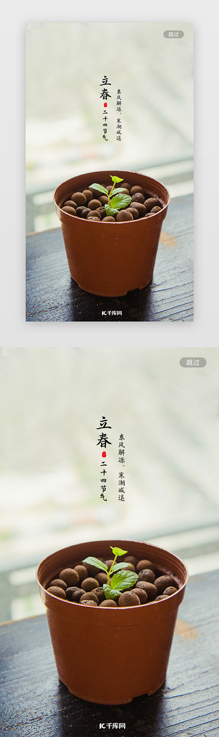 垂钓的绿植UI设计素材_简约中国二十四节气之立春闪屏