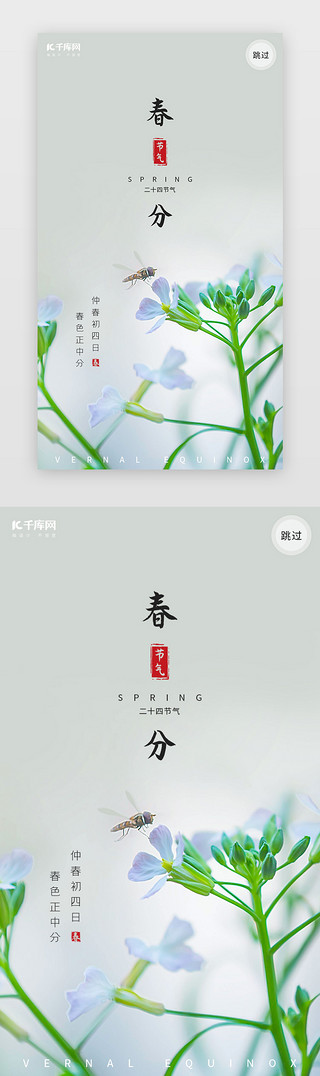 花植物海报UI设计素材_二十四节气春分浅绿色启动页引导页