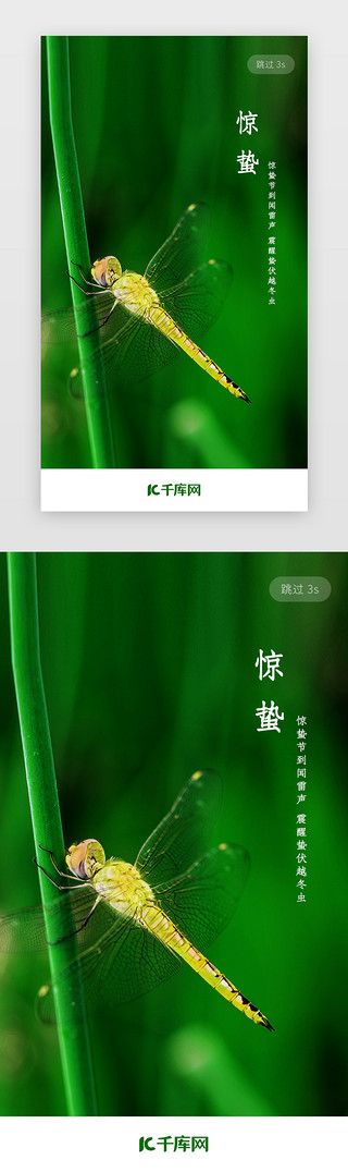 骑着蜻蜓UI设计素材_二十四节气惊蛰闪屏