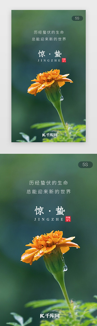 惊蛰UI设计素材_二十四节气惊蛰闪屏启动页