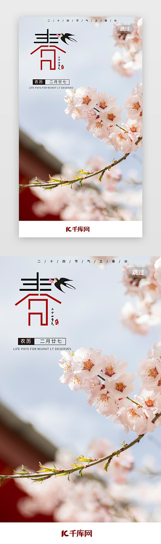 桃花落花UI设计素材_春分app闪屏