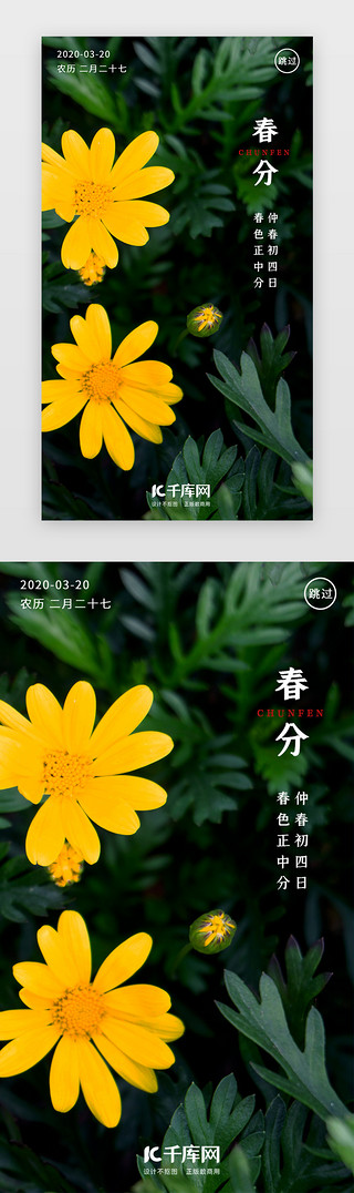 传统二十四节气UI设计素材_传统二十四节气春分闪屏
