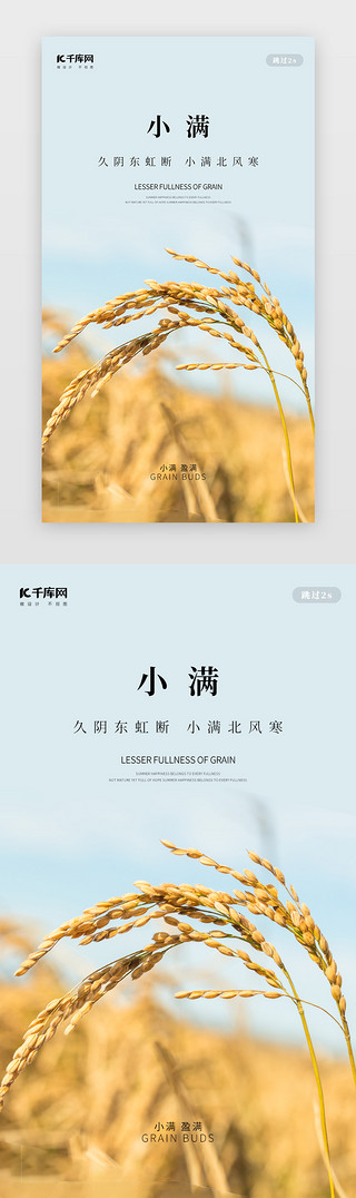 小满荠麦UI设计素材_创意简约风格小满闪屏