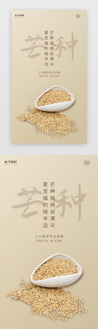 小麦线条画UI设计素材_简约小麦芒种二十四节气闪屏