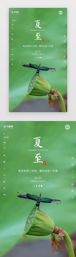 蜻蜓UI设计素材_小清新风格莲蓬夏至二十四节气闪屏