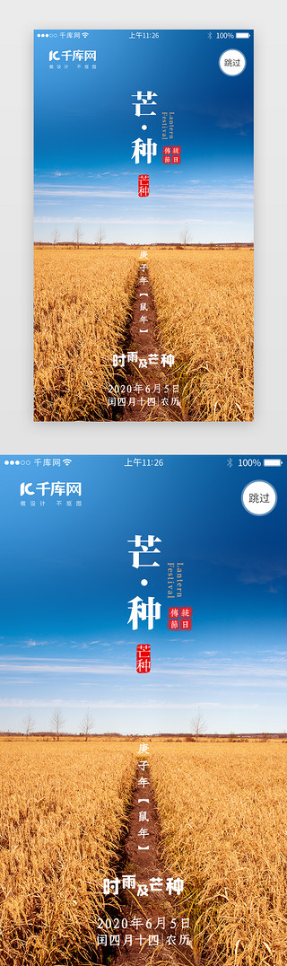 芒种高粱UI设计素材_二十四节气之芒种闪屏引导页
