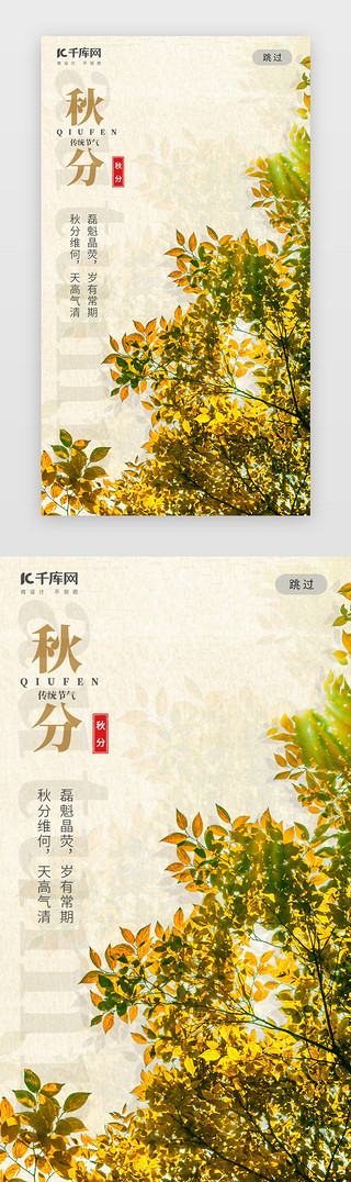 茂盛的树叶UI设计素材_二十四节气黄树叶秋分闪屏