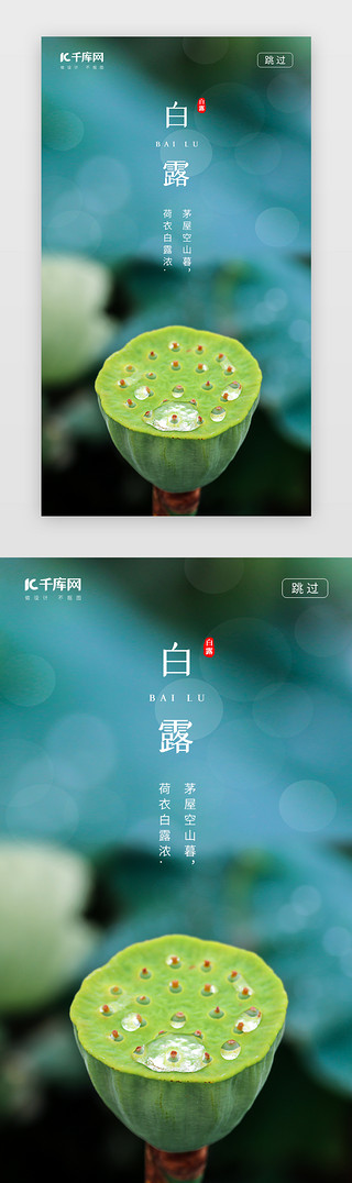露珠绿叶UI设计素材_二十四节气白露闪屏