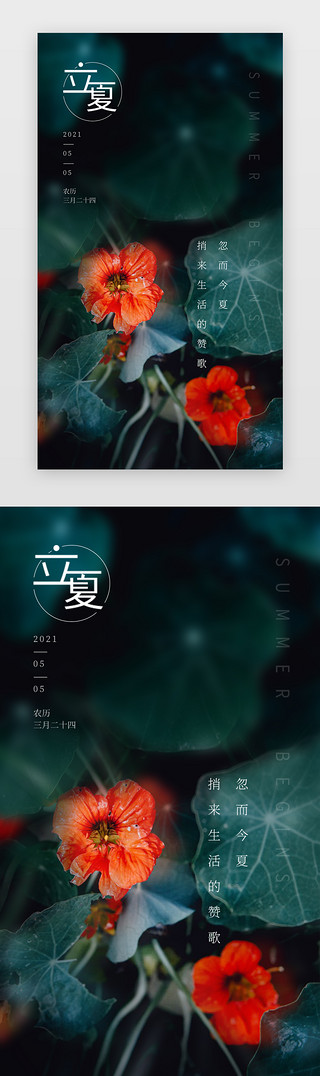 清晨露珠花朵UI设计素材_立夏闪屏简约商务红色蓝色风景花朵