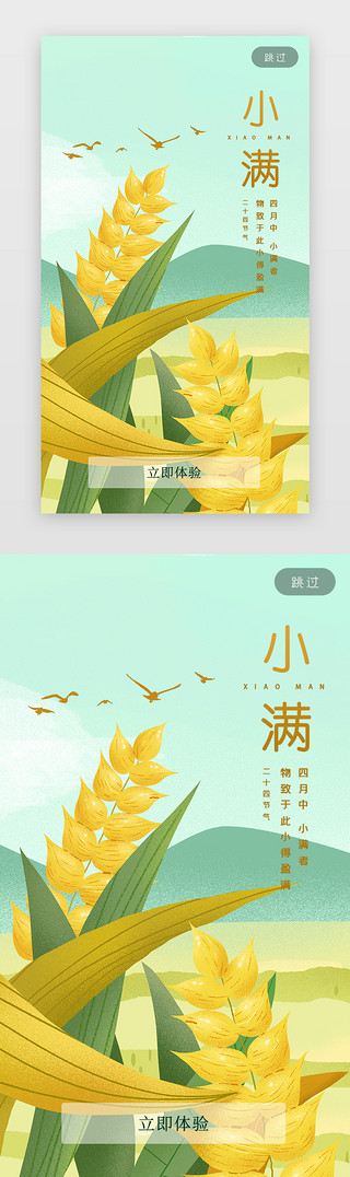 小满荠麦UI设计素材_二十四节气闪屏插画绿色小满