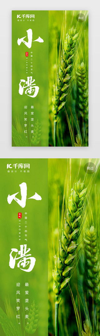 小满荠麦UI设计素材_小满闪屏简约绿色麦穗