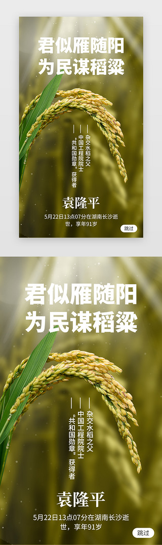 致敬最美的逆行者UI设计素材_致敬袁隆平app闪屏创意黄绿色水稻