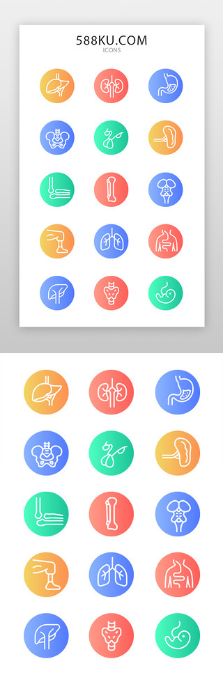 肾脏日UI设计素材_手机应用app界面线性面型图标