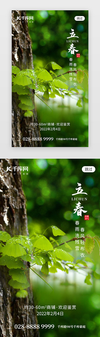 立春合集UI设计素材_二十四节气立春app闪屏创意绿色银杏树