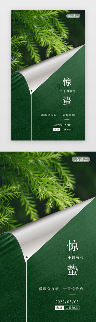 人参绿色植物UI设计素材_二十四节气 闪屏/介绍页翻页绿色惊蛰