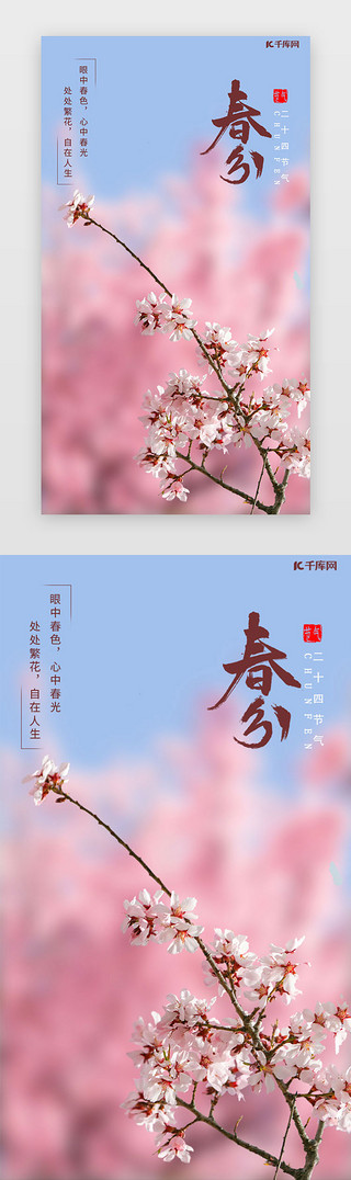 花卉樱花UI设计素材_春分闪屏时尚粉色樱花