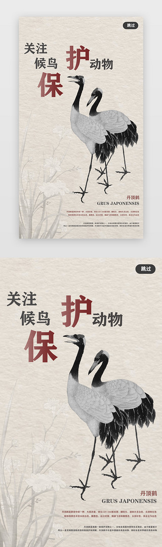 世界动物保护UI设计素材_公益闪屏中国风灰色丹顶鹤