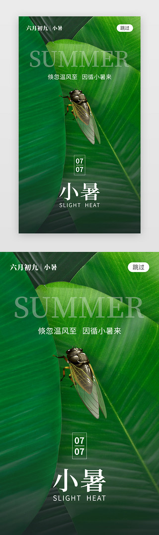 小暑横UI设计素材_二十四节气小暑app闪屏创意芭蕉绿知了