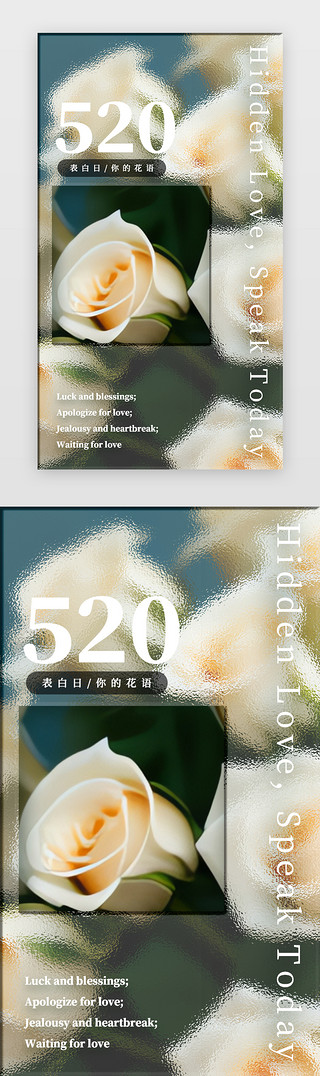3d效果图后期UI设计素材_520 爱情 表白 情人节 玫瑰闪屏唯美 毛玻璃清新 黄色毛玻璃效果 玫瑰