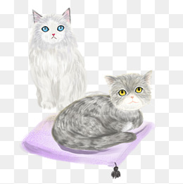 【猫奴素材】_猫奴图片大全_猫奴素材免费下