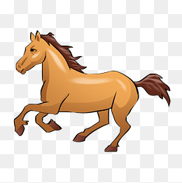 野生动物骏马插画