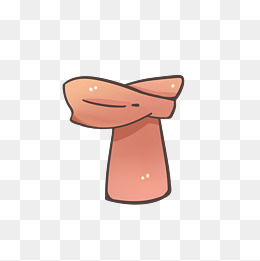 冬季锦鲤手绘边框