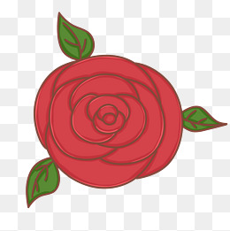 手绘红色的玫瑰花插画