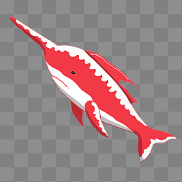 可爱红色鲸鱼矢量图