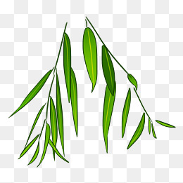 卡通手绘绿色杨柳